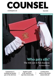 Silk Supplement 2025